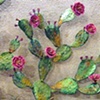 Large Cactus Grouping