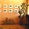 Gallery 3