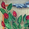 Calla Lillies with Raincloud