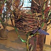 Bird's Nest #2