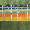 Aspen Grove