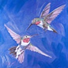 Hummingbird
