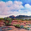 Ute Mountain from Hovenweep          