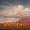 Mesa Verde