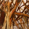 Spirit Wood 
