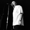 KIM WILSON (1)