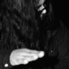 RAY (3)