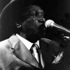 ELMORE JAMES JR.