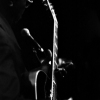 ELMORE JAMES JR. (2)