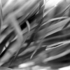 Untitled-16