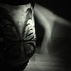i can fly, but i want his wings...