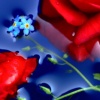 red? blue!