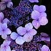 for you