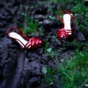 walk a mile in my shoes