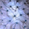 inner universe