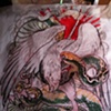 eagle fight snake !