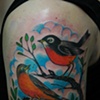 bird nest