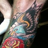 eagle rose