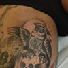 owl 