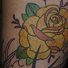 yellow rose