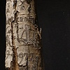 Natural Arborglyph