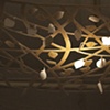 Canopy close-up