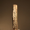 The arborglyph