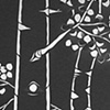 Moonlight Closeup