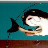 Catfish 3