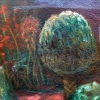 closeup of secret garden