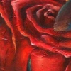 When you wore a tulip, A sweet yellow tulip, And I wore a big red rose, When you caressed me, 'twas then Heaven blessed me, What a blessing, no one knows...
