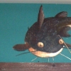 Catfish 2