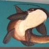 catfish 1