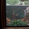 secret garden from window