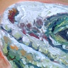 iguana closeup 2