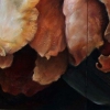 Artwork  for sale