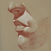 Facial Features Study #1