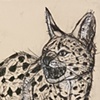 'Angry Serval'