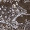 'Spotted Quoll'