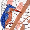 'K is for Kingfisher'