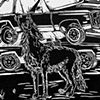 'Coyote and Junkyard
