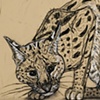 'Crouching Serval'