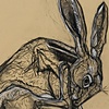 'Jackrabbit