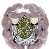 sweet siamese 
castle builder 