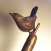 Marsh Wren on Cattail