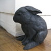 They watched (Rabbit)