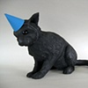 Surprise Party (Cat)