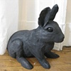 They waited (Rabbit)
