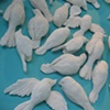 Flock Installation at The Art Shop