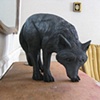 They crept in (Fox)